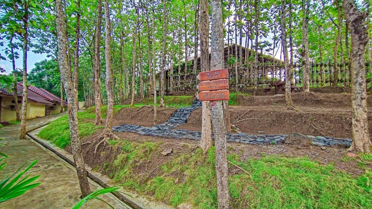 Kasuari Exotic Resort Magelang Exteriér fotografie